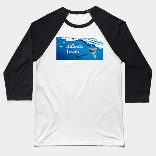 Shark Underwater with Shark Tooth Baseball T-Shirt by AtlanticFossils